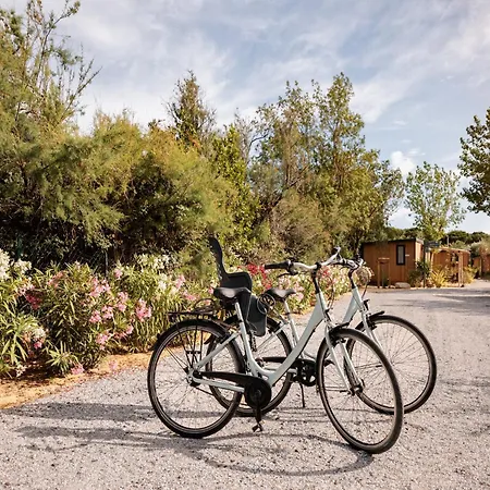 Modern With Air Conditioning, In A Park, The At 1 5 Km From